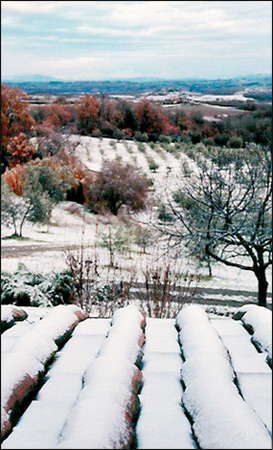 Snowy view of Poggio Etrusco